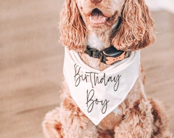 Birthday boy dog bandana, Dog Birthday girl tie on bandana, personalized dog bandana, dog birthday gift, first birthday dog bandana gift