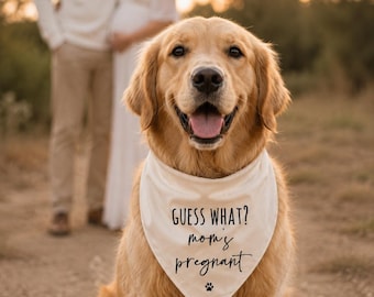 ¡Adivina qué! Pañuelo para la perrita embarazada de mamá, ¡adivina qué! Anuncio de embarazo, pañuelo para la perrita, anuncio de bebé, ¡va a ser hermano mayor!