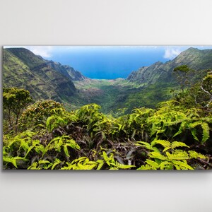 DIGITAL Napali coast photo, Kauai landscape photo, Hawaii wall art, Hawaii mountain photo print, Alakai swamp trail