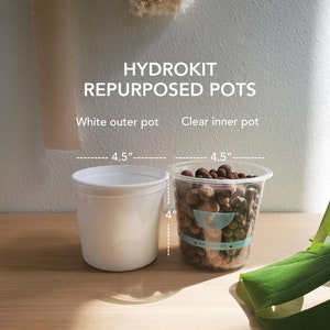 Repurposed LECA pots for semi hydroponics, net pots