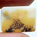 see more listings in the DENDRITE AGATE / SHAZAR section