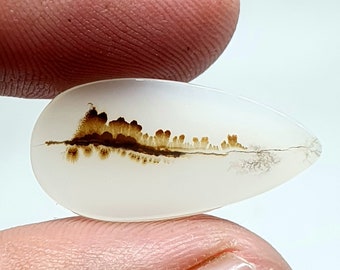 Shazar Scenic Dendrite Agate Cabochon  Dendritic Agate Cabochon. Natural Shazar Dendrite Gemstone