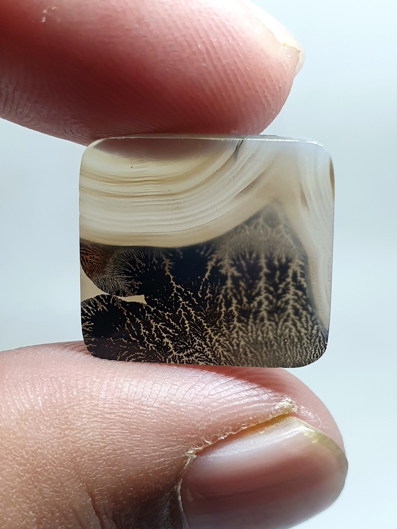 Shazar Scenic Dendrite Agate Cabochon Dendritic Agate Cabochon. Natural Shazar Dendrite Gemstone image 2