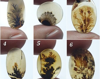 Cabochon di agata dendritica scenica Shazar Cabochon di agata dendritica. Pietra preziosa naturale della dendrite Shazar