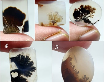 Shazar Scenic Dendrite Agate Cabochon  Dendritic Agate Cabochon. Natural Shazar Dendrite Gemstone