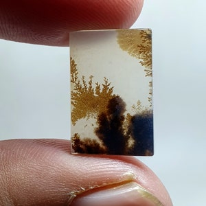 Shazar Scenic Dendrite Agate Cabochon Dendritic Agate Cabochon. Natural Shazar Dendrite Gemstone image 3