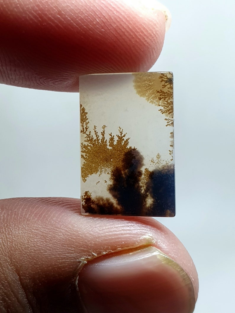 Shazar Scenic Dendrite Agate Cabochon Dendritic Agate Cabochon. Natural Shazar Dendrite Gemstone image 3