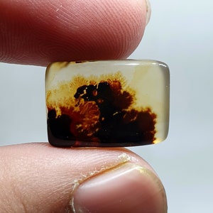 Shazar Scenic Dendrite Agate Cabochon Dendritic Agate Cabochon. Natural Shazar Dendrite Gemstone image 5