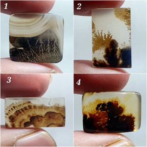 Shazar Scenic Dendrite Agate Cabochon Dendritic Agate Cabochon. Natural Shazar Dendrite Gemstone image 1