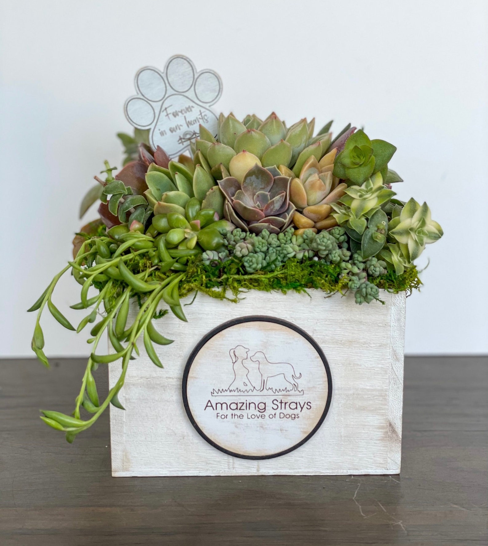Custom Succulent Arrangement Sympathy Succulent Gift Etsy