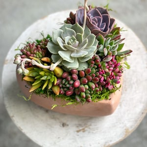 8” Terra Cotta Heart Succulent Arrangement, Mother’s Day,Live Succulents, Anniversary, Birthday, Love, Thank You, Valentine&#39;s Day Gift