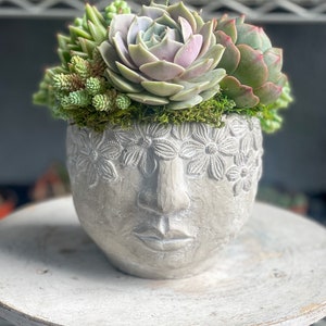 Flower Goddess Succulent Arrangement, Mother’s Day Gift