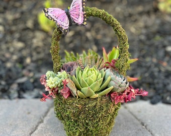 Mother's Day Succulent Basket, Spring Succulent Basket, Live Succulents, Succulent Arrangement, Gifts, Unique Gifts, Plants
