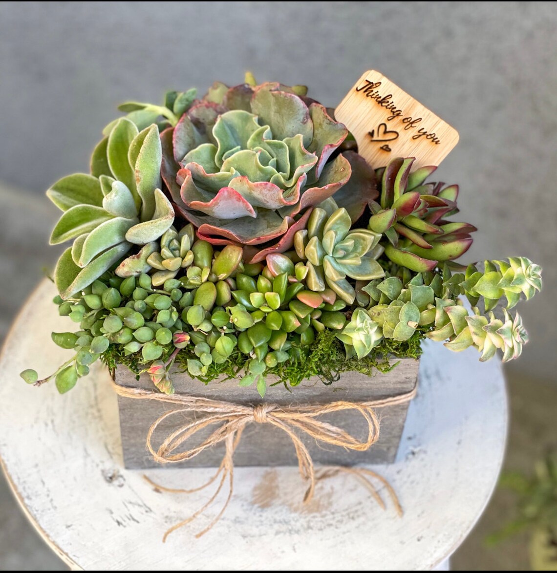 Custom Succulent Arrangement Sympathy Succulent Gift Etsy