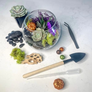 DIY Halloween Succulent Terrarium Kit, Terrarium Kit, Unique Plant Gift, Halloween Decor