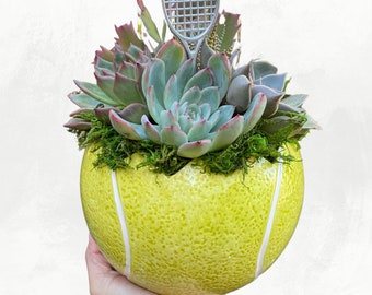 Tennis Ball Succulent Arrangement, Tennis Gift, Tennis Lover, Tennis Ball Planter, Tennis Theme Event