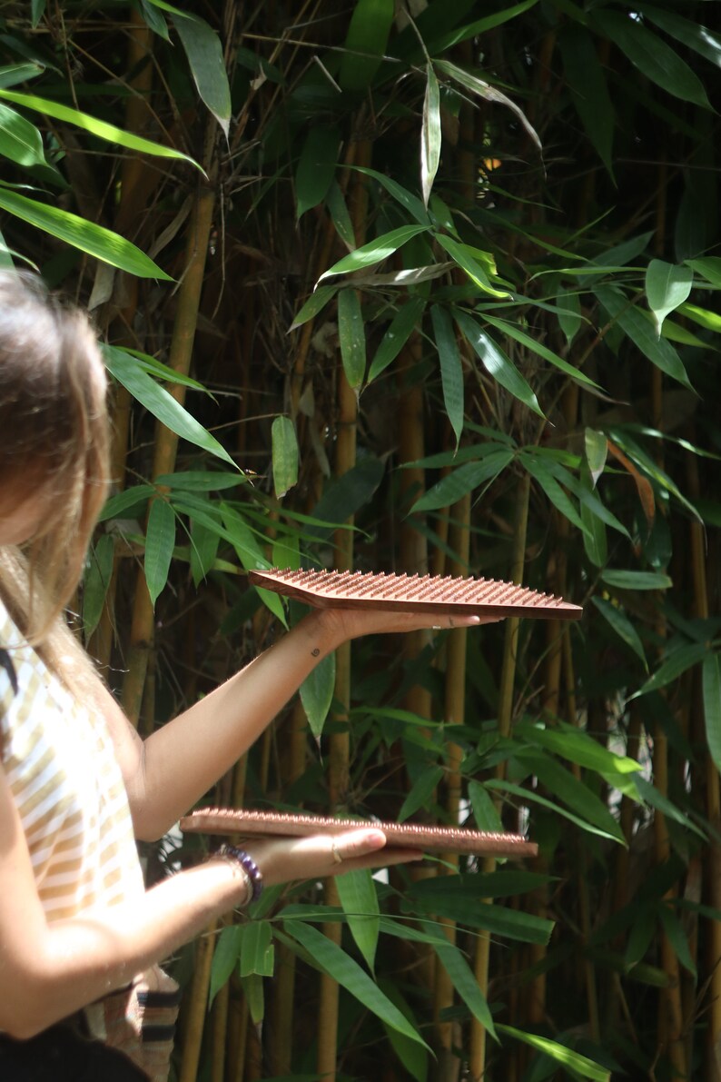 K&ouml;nnte beinhalten: Eine Person h&auml;lt zwei Holzbretter mit Reihen von kleinen Metallspitzen. Die Bretter sind braun und die Spitzen sind silberfarben. Die Person steht vor einem gr&uuml;nen, belaubten Hintergrund.