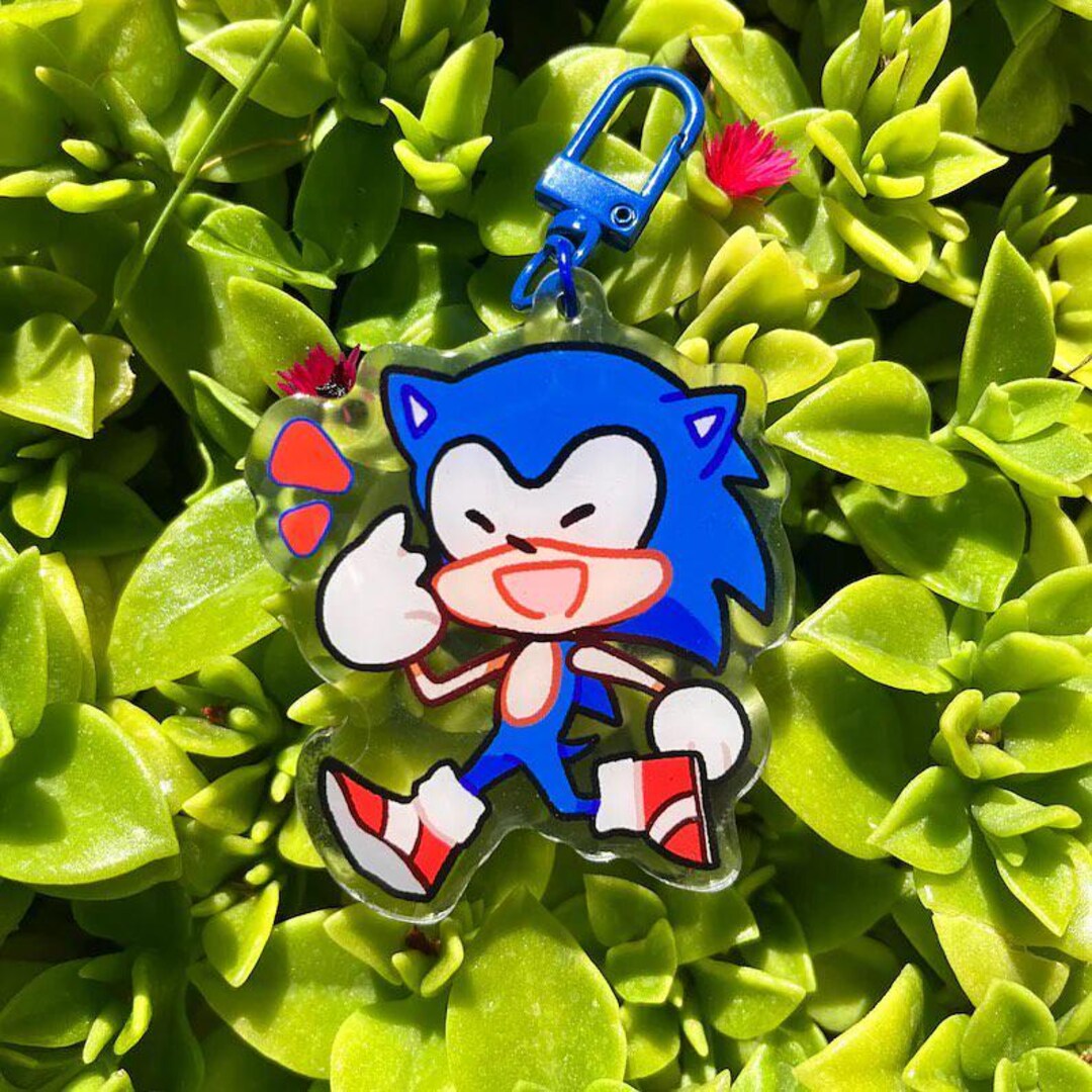 Amy Rose the Hedgehog OCD Obsessive Compulsive Disorder Charm Keychain ...