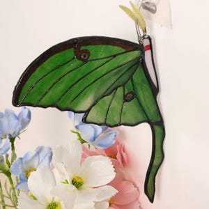 Luna Moth Butterfly Suncatcher, Stained Glass Decoration, Stained Glass Window Hangings L3LL