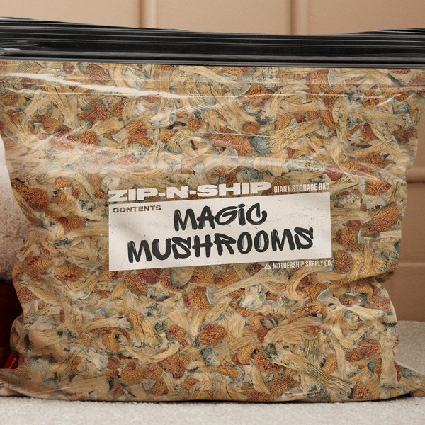 Magic Mushroom Pillow - Psilocybin Mushroom Pillow - Psychedelic Pillow - Psychedelic Shroom Pillow - Stoner Pillow - Stoner Gift - Shrooms