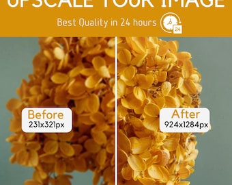 Professional Image Mastery | High-Quality Upscaling | Digital Image Enlargement Service