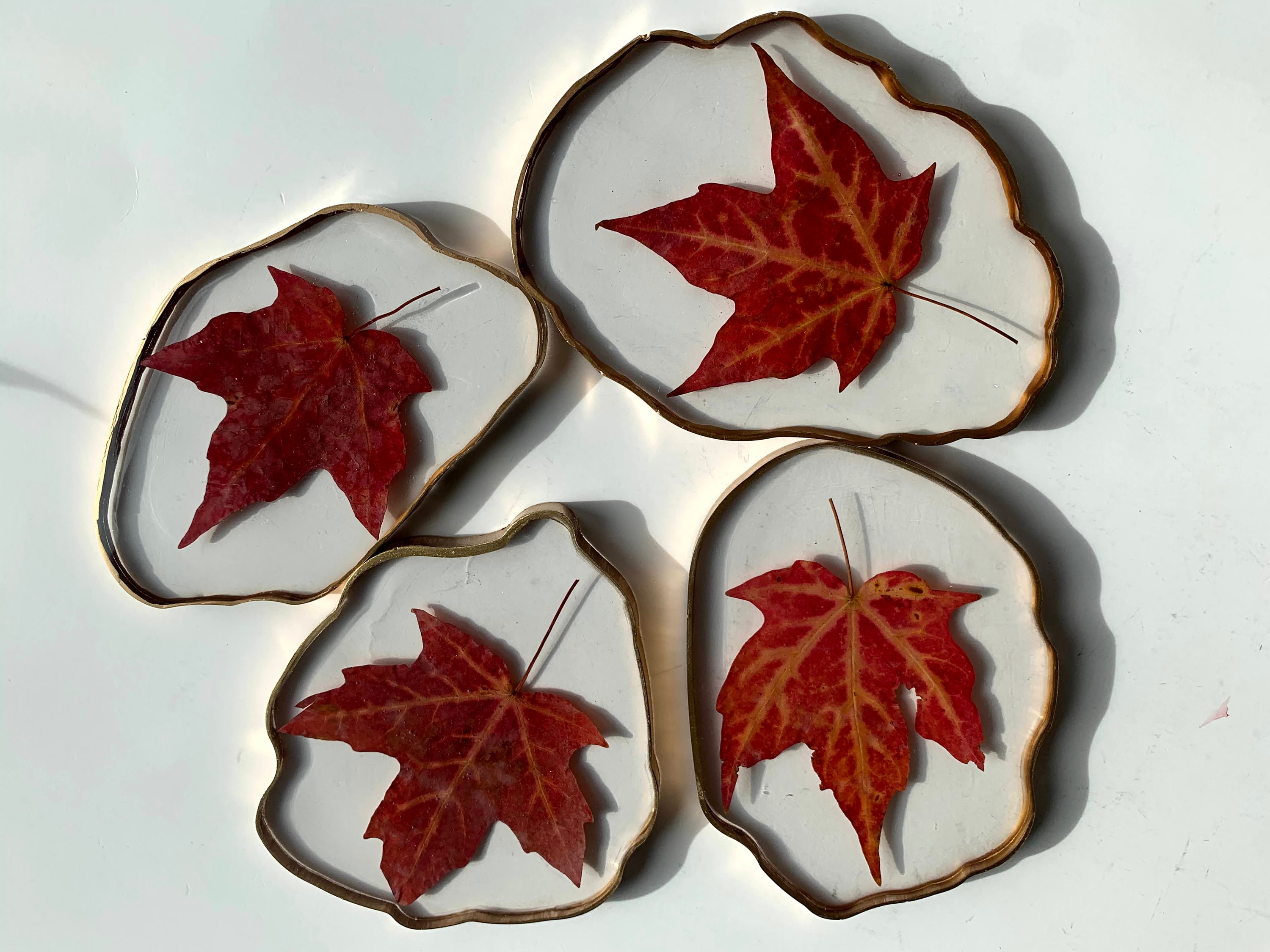 Coasters Leaf Coaster Resin Coaster Set Maple Leaf Autumn Etsy