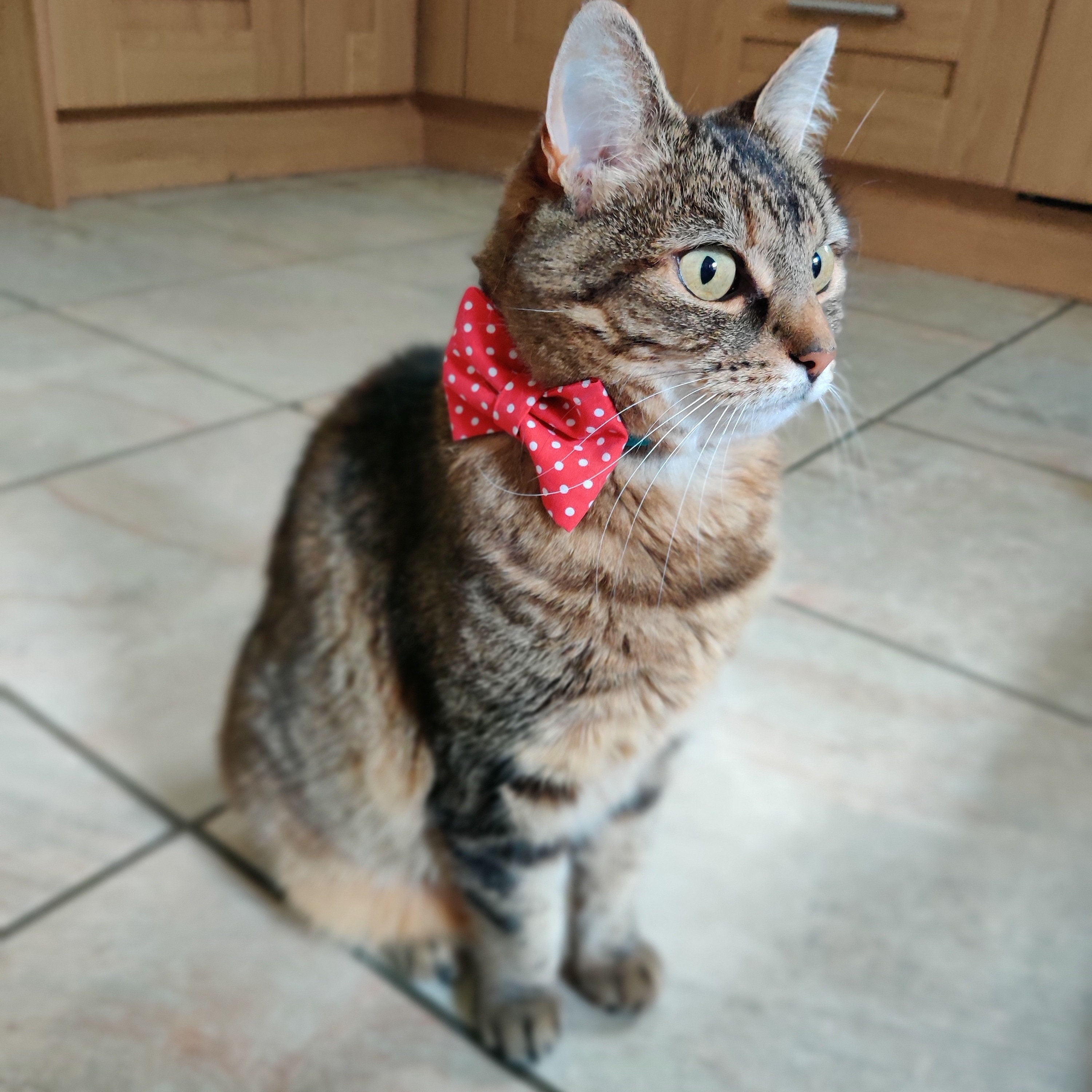 Cat bows/bow ties personalisation available handmade 3 Etsy