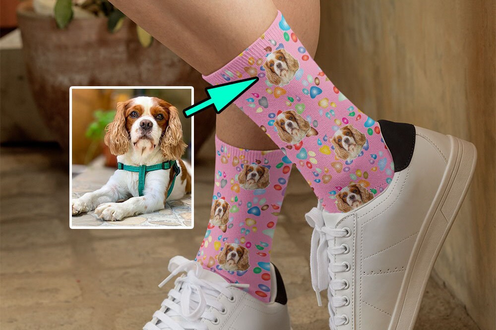 Personalized Pet Photo Socks Custom Pet Socks Put Your Pet Etsy