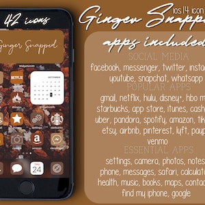 40+ Icons | Ginger Snapped | IOS 14 APP Icons Pack | Fall Color Icons