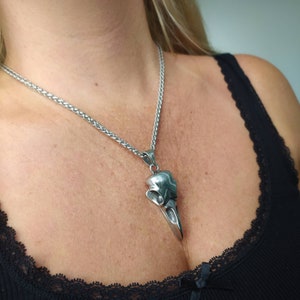 May include: A silver chain necklace with a detailed silver bird skull pendant. The pendant is shaped like a bird's skull with a long beak.