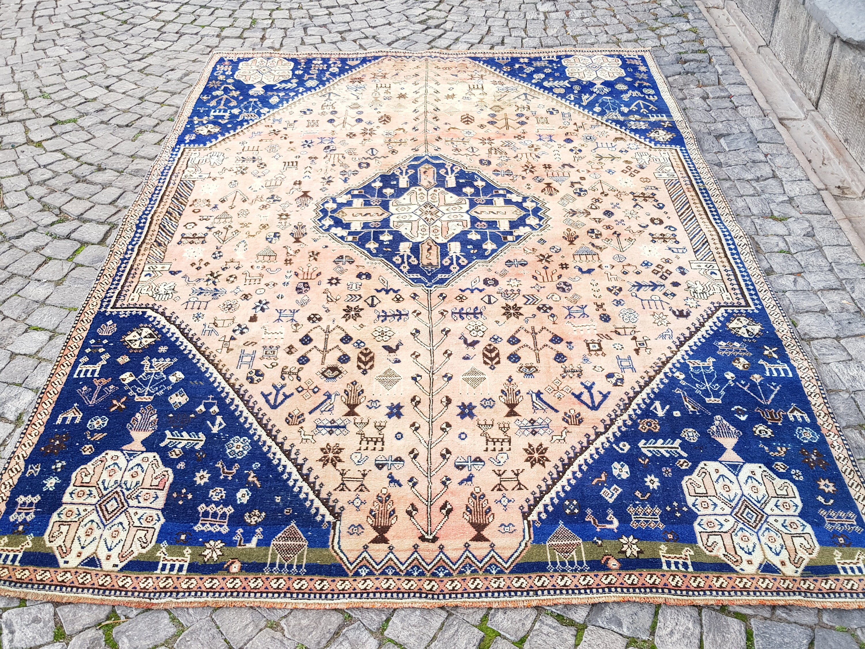 How To Clean Dog Poop From Persian Rug