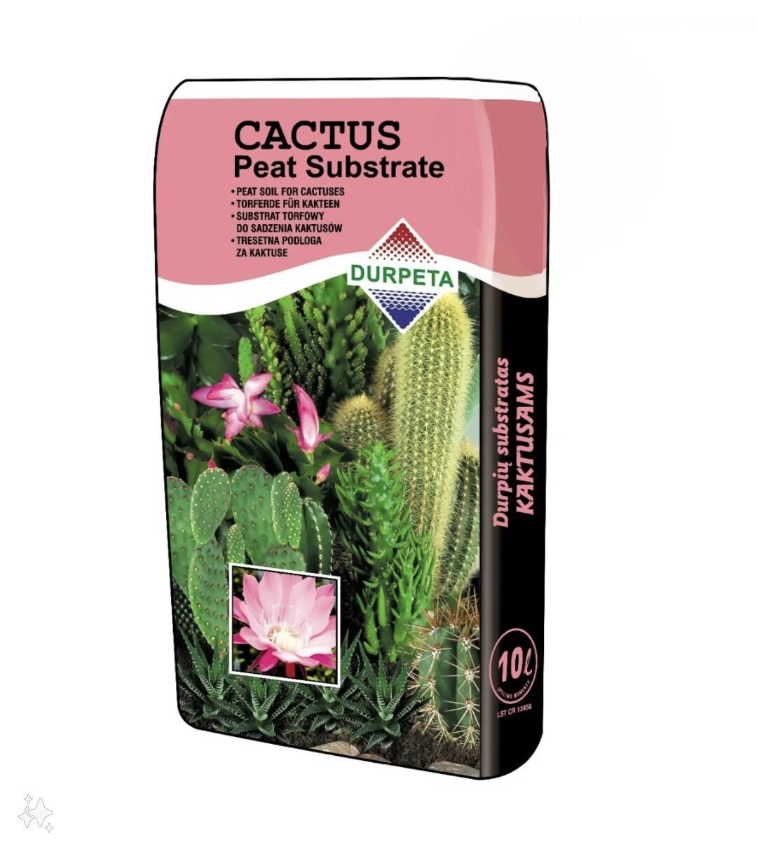 Cacti Succulent Premium Cactus Soil Compost 10L Special Growing Mix Eco  Garden Home Plant Bonsai Mineral Pot - Etsy Canada