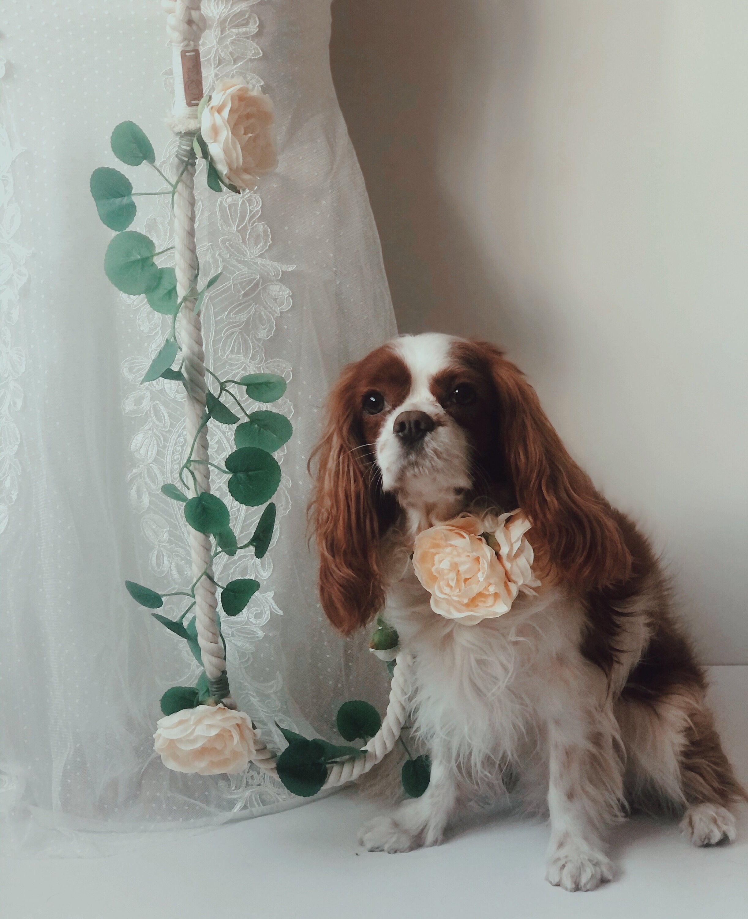 Wedding Dog Leash and Collar Set Wedding Rope Leash Floral Etsy