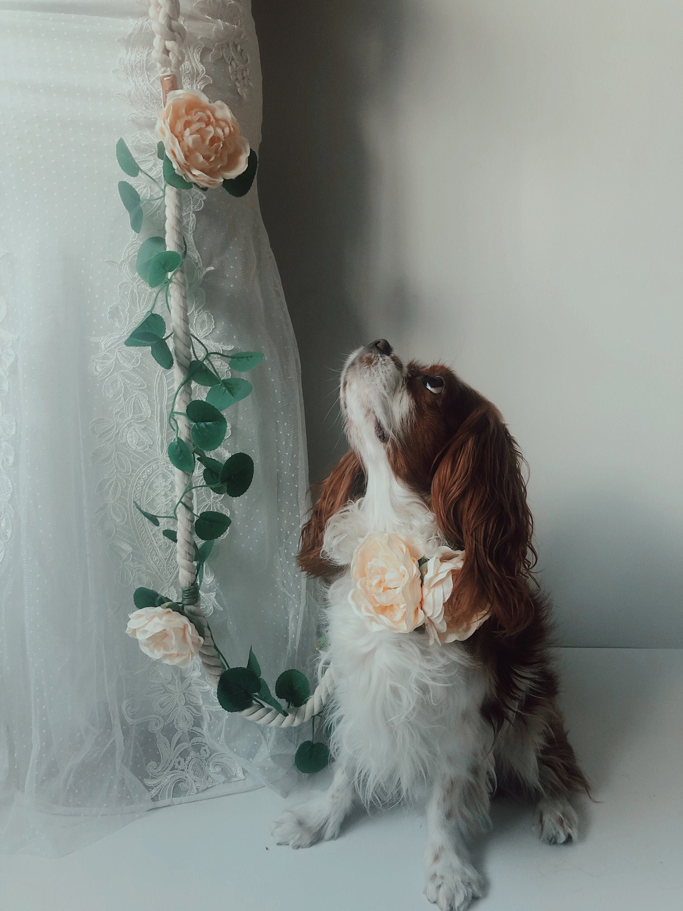 Wedding Dog Leash and Collar Set Wedding Rope Leash Floral Etsy