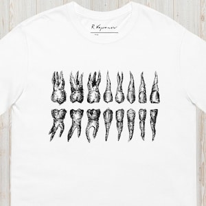 Tooth Illustration Shirt | Dentist T-Shirt Unisex | Dental Gift | Design by R. Kapranov