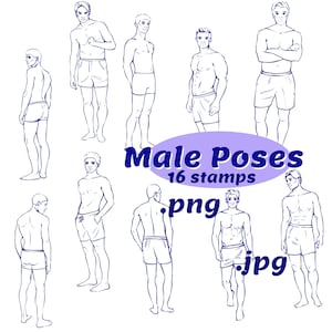 Male poses png, Male body stamps, Fashion poses stamps PNG, Male figure
