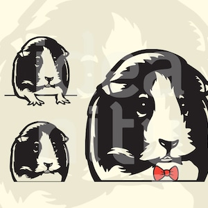 Guinea Pig Face SVG: Peeking Clipart, Cricut, Glowforge File