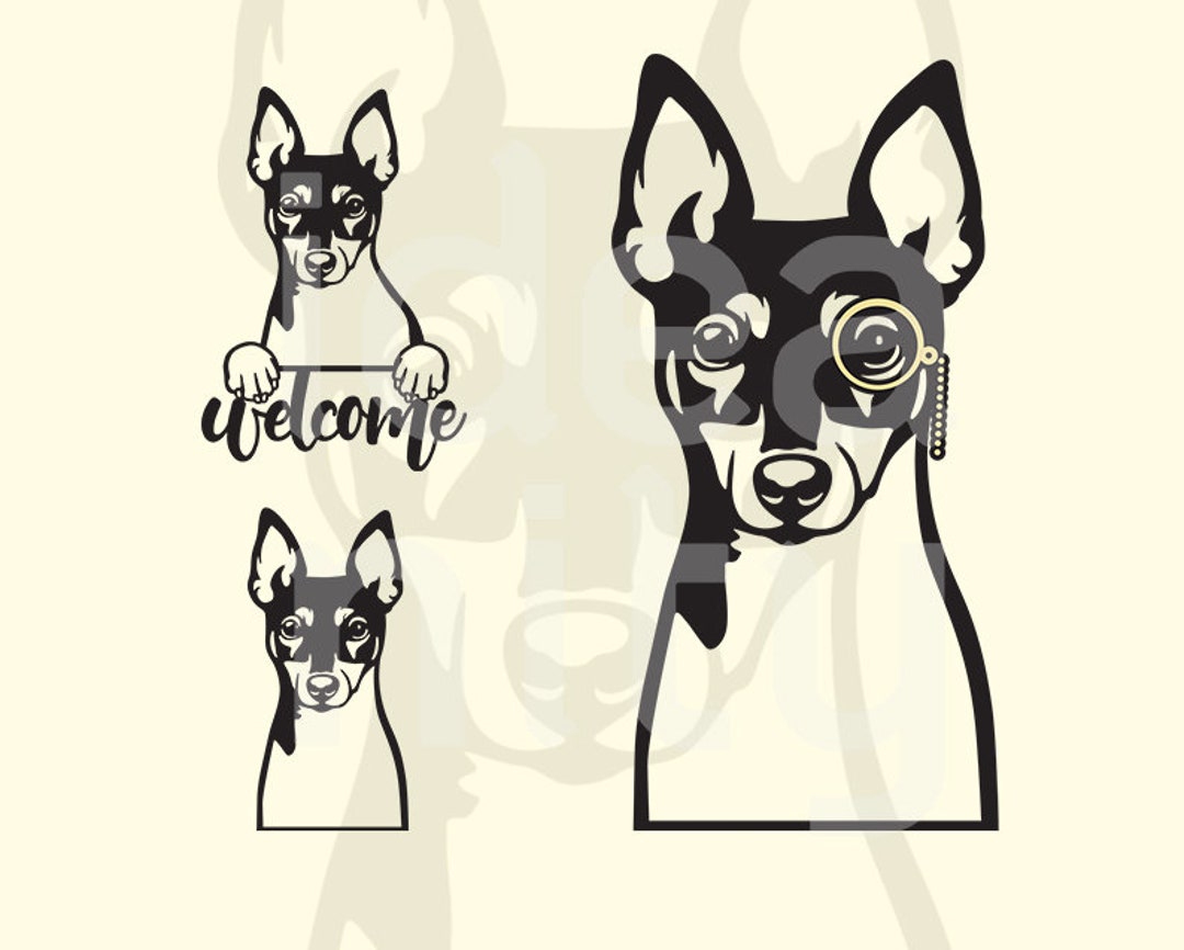 Toy Fox Terrier Svg, Dog Svg, Toy Fox Terrier Face, Dog Sign, Dog Breed