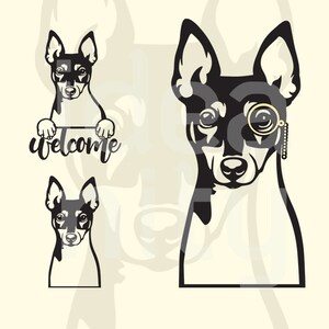 May include: Black and white illustration of a Rat Terrier dog with a monocle. The dog is looking directly at the viewer. The image also includes a black and white illustration of a Rat Terrier dog peeking over a sign that says "welcome".
