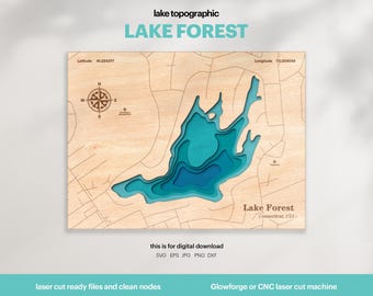 Lake Forest Map SVG : 3D Topographic Lake House Decor (Digital Download)