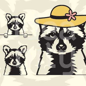 Funny Raccoon SVG files for Cricut, Peeking Raccoon face clipart, shirt design, printable art, Laser Cut File, Glowforge