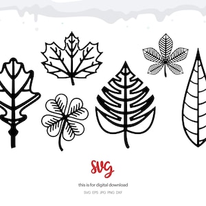 Pacchetto SVG di foglie: Clipart di foglie, disegno vettoriale (download digitale)