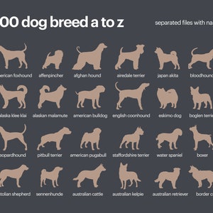 600 races de chiens Silhouette Bundle SVG, conception de vecteur de race de chien, fichier de coupe SVG races de chiens, chien forme SVG Clipart | Licence commerciale