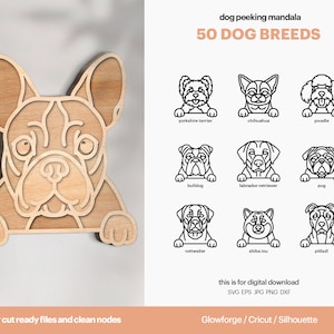 50 mandala multistrato che sbirciano cani, file SVG pacchetto razza canina, decorazione del cartello della porta, decorazione da appendere alla parete, uso commerciale, DOWNLOAD DIGITALE