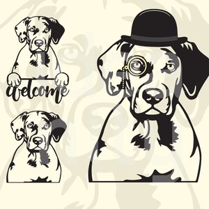 Catahoula svg Dog svg Catahoula Face Dog Sign Dog Clipart | Etsy