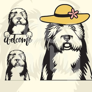 Alter englischer Schäferhund SVG: Laser geschnitten Datei, Cricut bereit