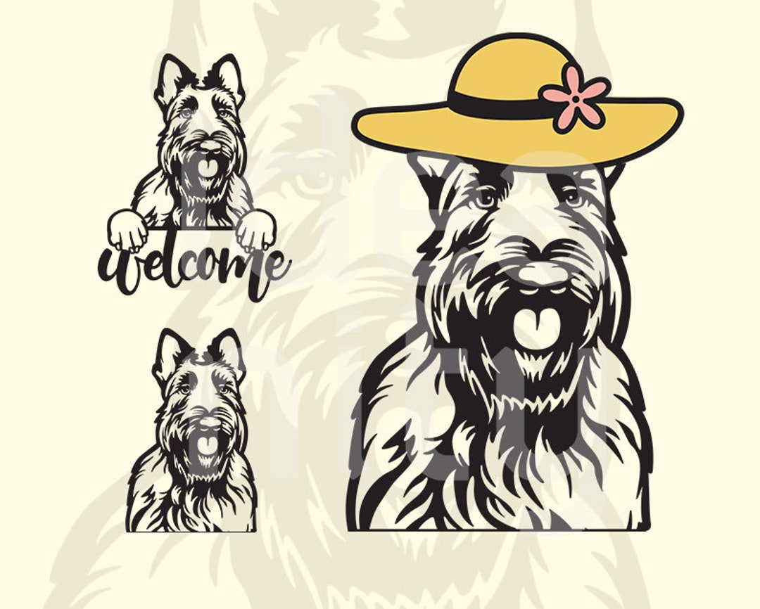 Scottish Terrier Svg, Dog Svg, Scottish Terrier Face, Dog Sign, Dog Breed, Cricut, Laser Cut
