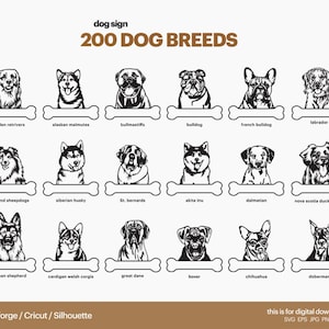 200 Signe d’os de chien, Signe de nom de chien, Décor d’amoureux de chien, Signe de Peek de chien
