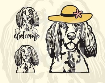Setter inglés SVG: Clipart de cara de perro, Cricut, Glowforge (archivo digital)
