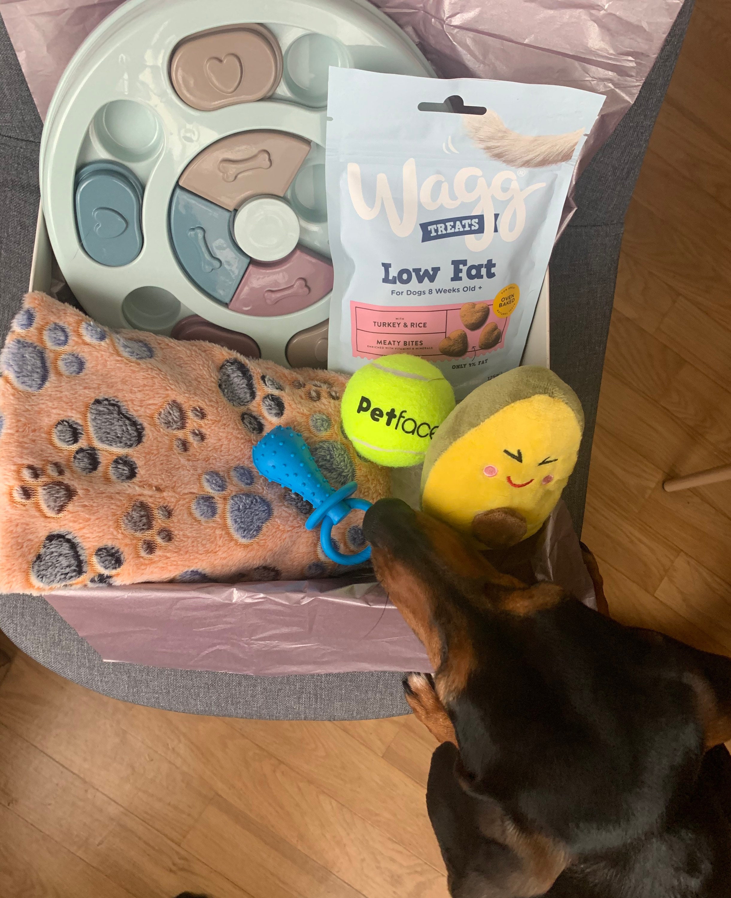 Dog treat training box dog toy box puppy training box Etsy